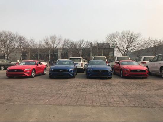 福特野马报价行情 所谓一马当先马到成功