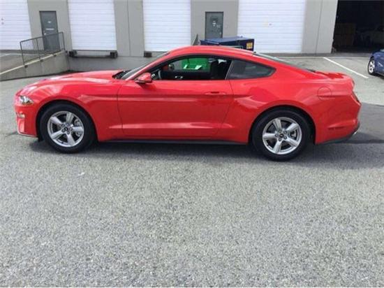 进口野马多少钱 18款野马优惠行情价格