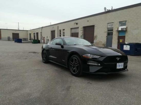 18款福特野马硬顶P版报价多少钱港口批发