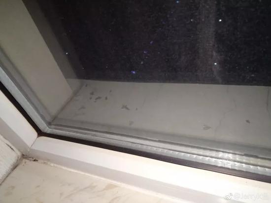 天津一小区连着三年人虫大战 场景如同木乃伊