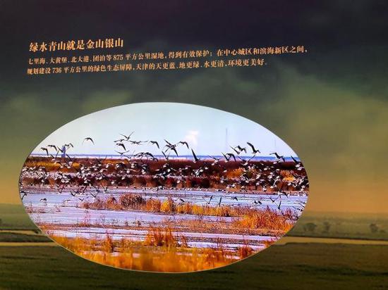 天津致力于守护绿水青山,建设美丽家园。