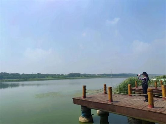 潮白河国家湿地公园。中国网记者 彭瑶 摄