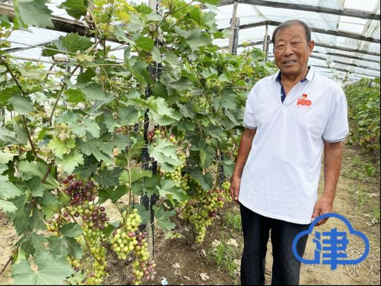 田宗江和自家种植的葡萄