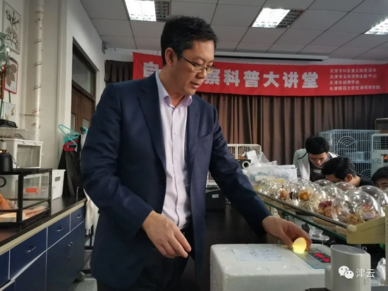 闫春财教授在查看正在孵化的柯尔鸭蛋