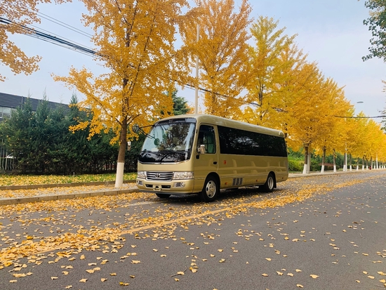 2022款丰田考斯特11座价格低改装豪华