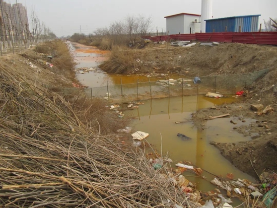 2016年，镇内的河道污染严重