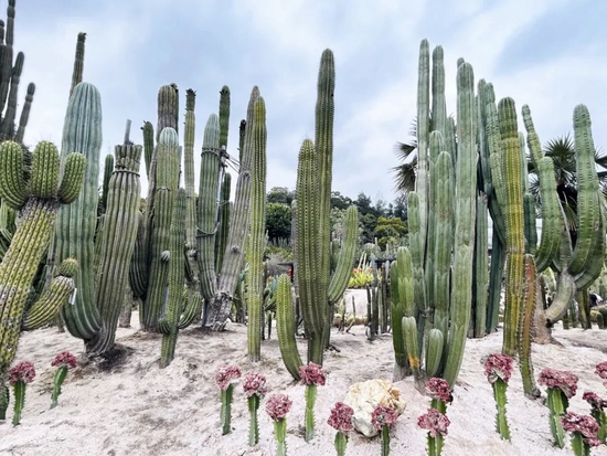 厦门园林植物园