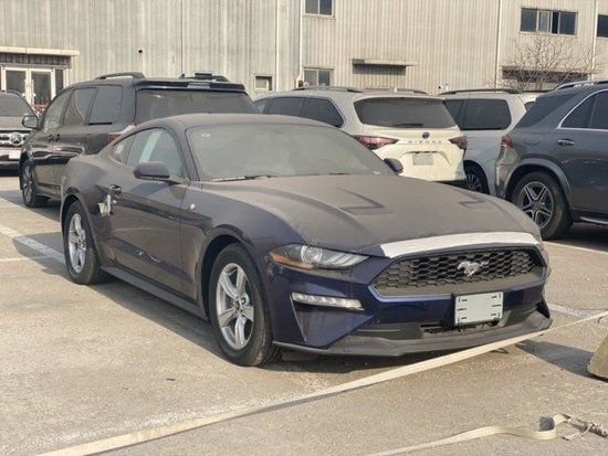 福特野马2.3T天津最新行情报价 首付8万