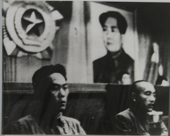 1950年9月，杨连弟出席第一届全国工农兵战斗英雄、模范代表大会，并被选入大会主席团，受到毛主席的接见。