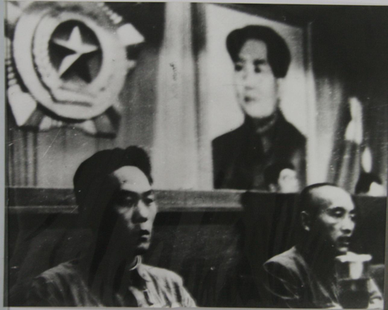 1950年9月,杨连弟出席第一届全国工农兵战斗英雄、模范代表大会,并被选入大会主席团,受到毛主席的接见。