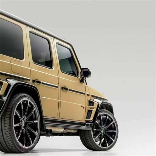 重点关注：沧州海洋之星和大自然的秘密揭秘