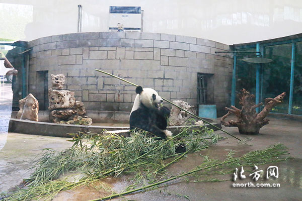 喜乐边吹空调边享受美餐