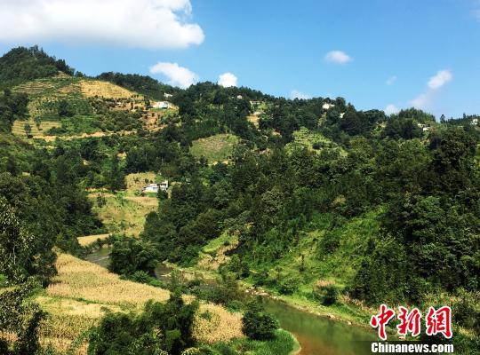 贞丰县总人口_贞丰县的介绍(3)