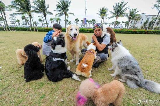 职业遛狗人成热门新兴职业 月入过万还有萌宠