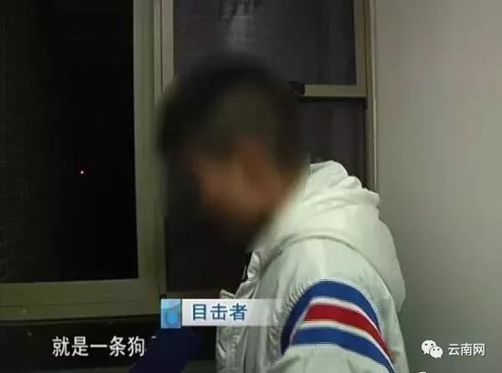 11月7日上午,昆明红云派出所向云南网证实,已接到该小区住户报警,目前正在调查中。