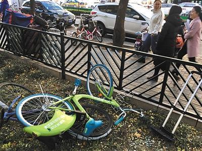 昨日,知春路,一辆酷骑单车被遗弃在花坛里。新京报记者 浦峰 摄