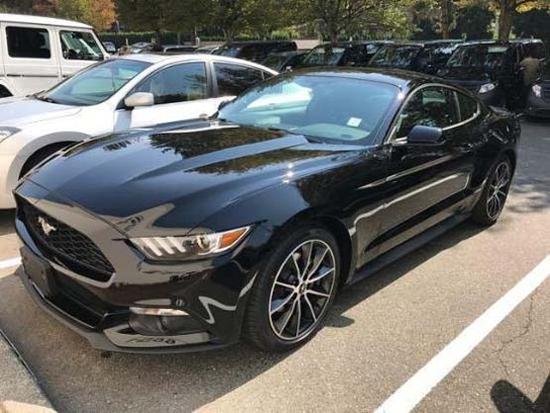 17款福特野马多少钱 配置丰富颜色齐全