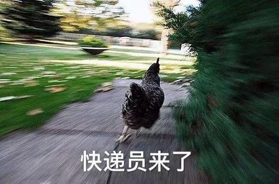 点击查看大图