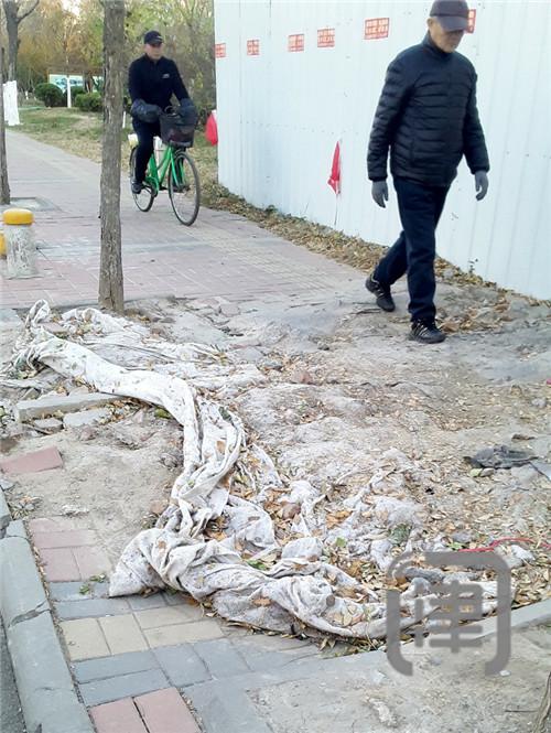 问津记者 姜樾
