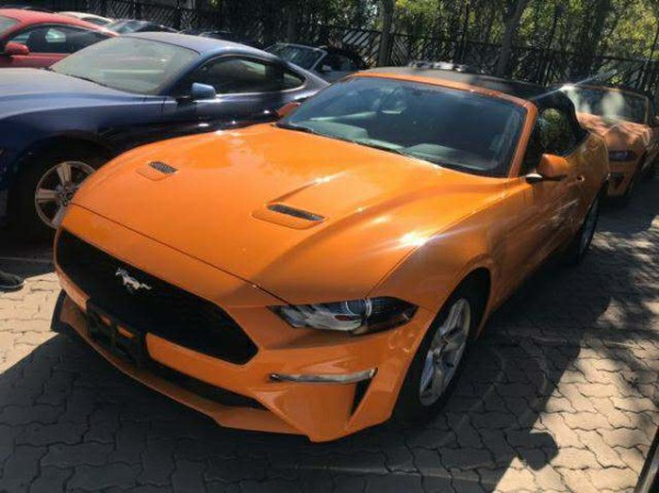 贵宾热线:15771111116(同微信)18519007111杨经理