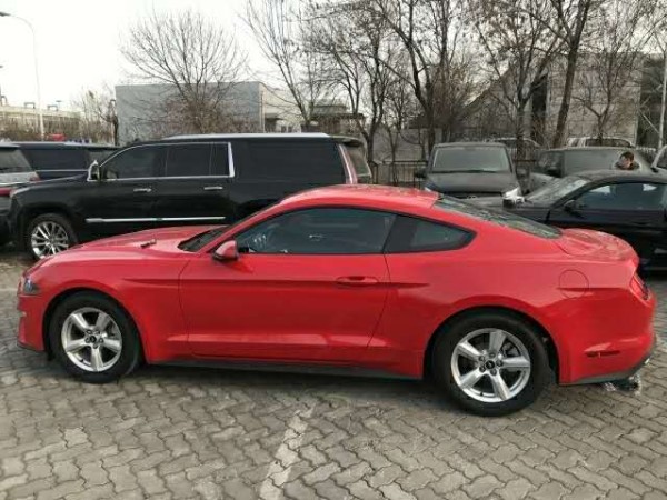 贵宾热线:15771111116(同微信)18519007111杨经理