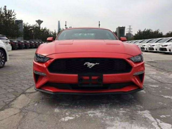 贵宾热线:15771111116(同微信)18519007111杨经理