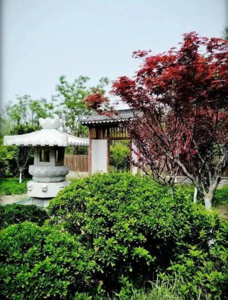 本市又一座苏式园林建筑——问津园全部完工,即将对外开放。
