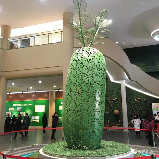 馆内巨型沙窝萝卜雕塑
