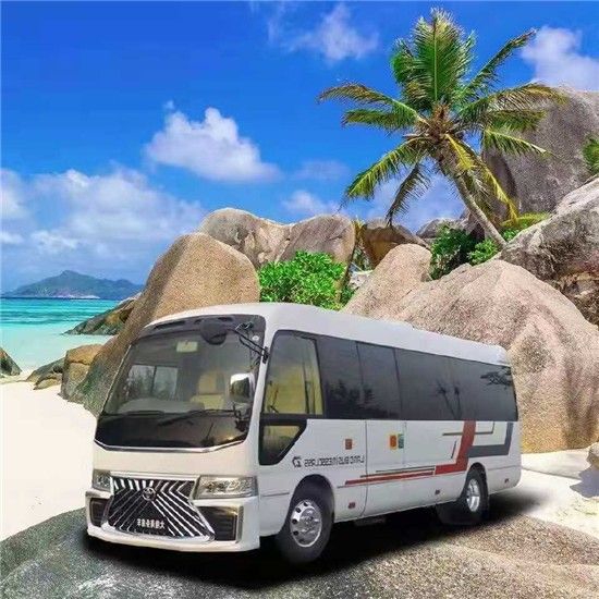 新款丰田考斯特14座价格定制高级版现车