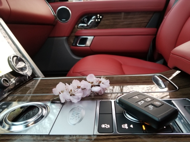 2019款路虎揽胜创世加长柴油版 新价格