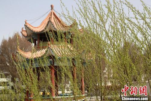 资料图。张建学 摄