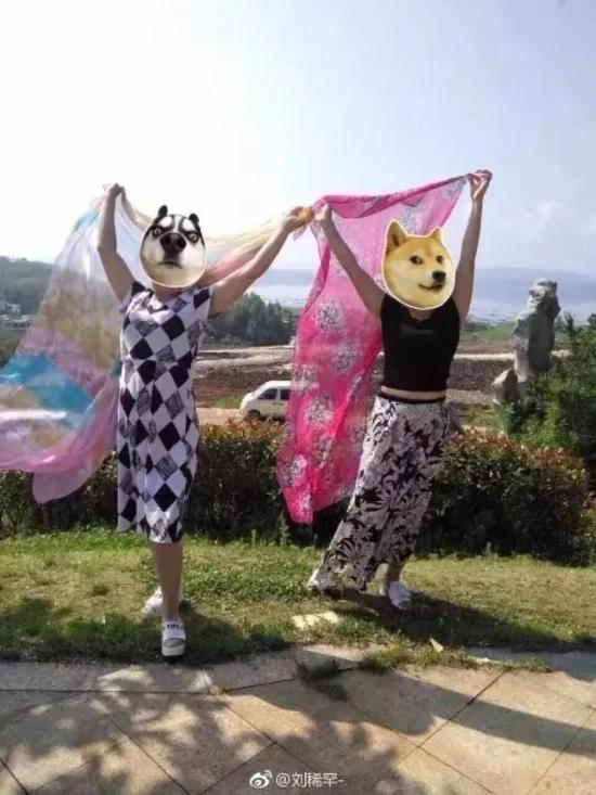 给大家介绍一下