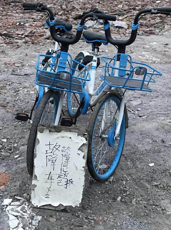 白鹭找到的被损车辆拍照上报
