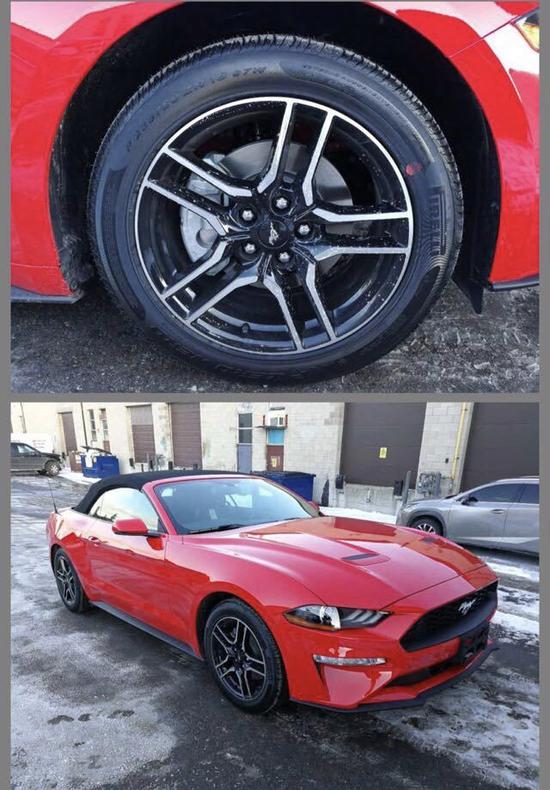 福特野马敞篷版2.3T 关注度十足的跑车