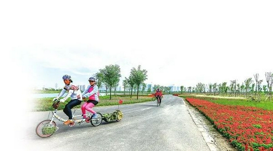 人在林中走,车在林中行,人与自然和谐共生。