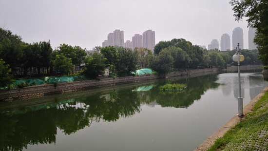 ▲月牙河(河东区二号桥街道段)一景(8月11日摄)。记者黄江林摄
