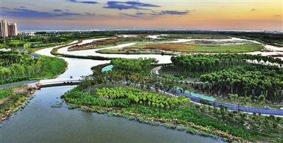 临港湿地公园，秦滨高速天津段上的一颗绿色“明珠”
