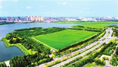 “津城”“滨城”之间绿色生态屏障内的丽湖带状公园。（本报资料照片）