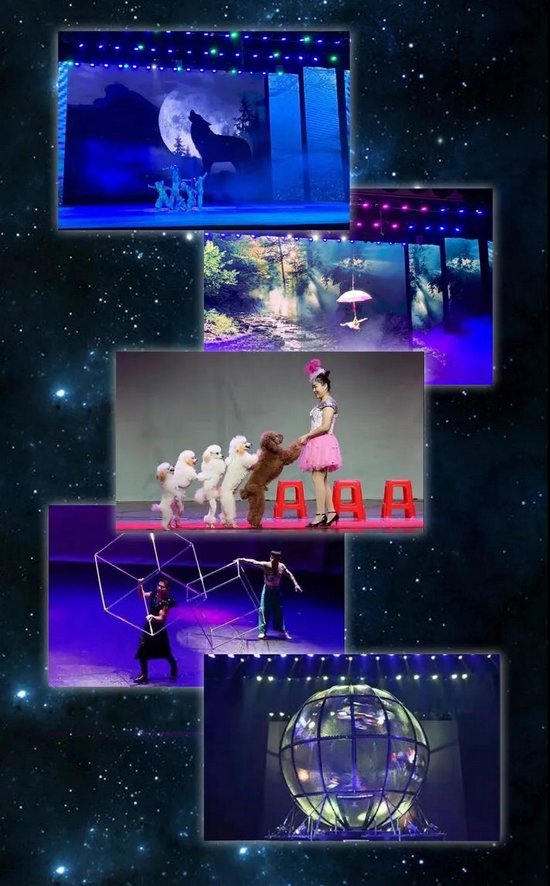 图&nbsp;|&nbsp;往期演出现场