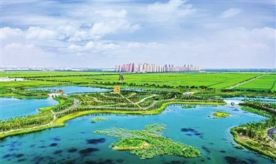 分类整治2.2万家“散乱污”企业，绿色转型取得显著成效。图为整治后的天津市西青区王稳庄变身为绿色生态屏障。