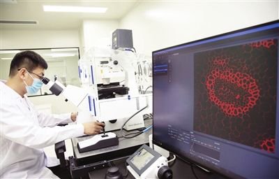 工作人员在影像实验室内运行调试超高分辨共聚焦显微镜。