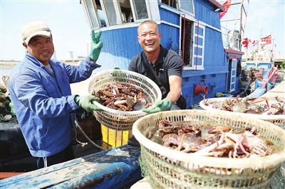 滨海新区大神堂码头渔船满载归来，渔民洋溢着丰收的喜悦。