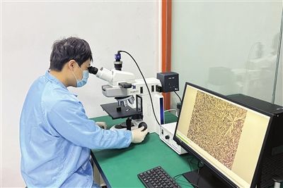 铸金股份工程师正在做金属合金粉表面形貌。图片由受访者提供