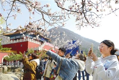 昨天上午，天津乡村全域旅游消费季启动仪式暨第十八届盘山开山节在我市盘山景区拉开序幕。图为盘山“开山”，吸引众多游客。本报记者 钱进 通讯员 杨天宇 摄