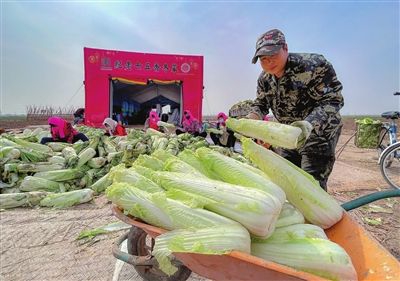 冬菜，香飘海外的天津味道