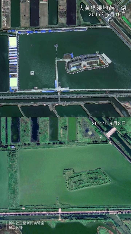图为卫星拍摄的大黄堡湿地燕王湖项目整改拆除和生态修复对比图。