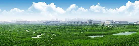 津南绿色生态示范区。津南区融媒体中心供图