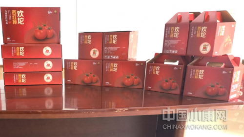 欢坨西红柿有了统一的品牌和包装。