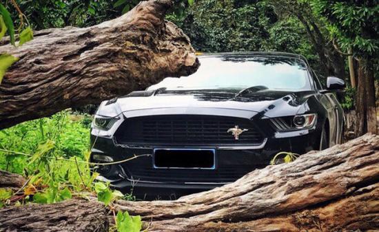 五一劳动节促销 18福特野马美式肌肉跑车