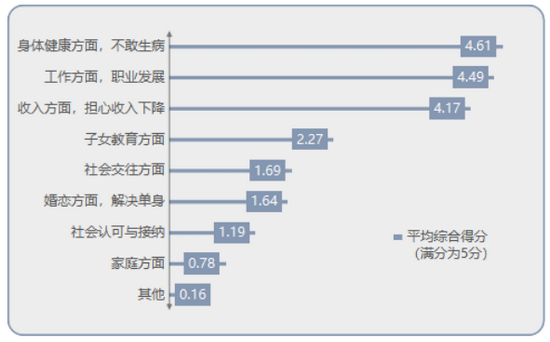 担心的主要问题（平均综合得分）